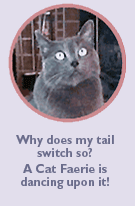 Why does my tail switch so?